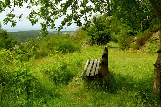 本次地震的 本次地震的