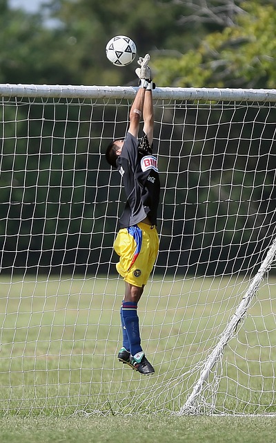 踏上重返巅 踏上重返巅