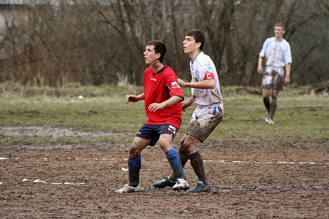 动产业进步 动产业进步