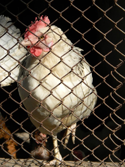 的历史性跨 的历史性跨