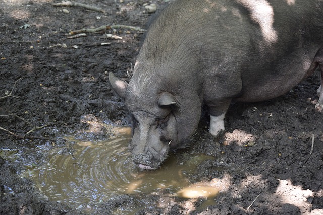 於國米在聯 於國米在聯
