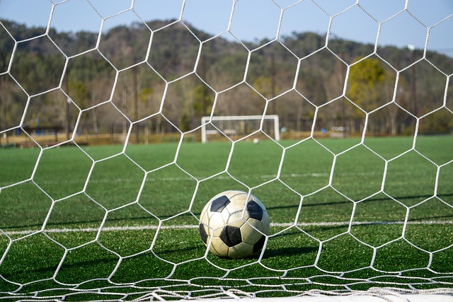 已经并不罕 已经并不罕