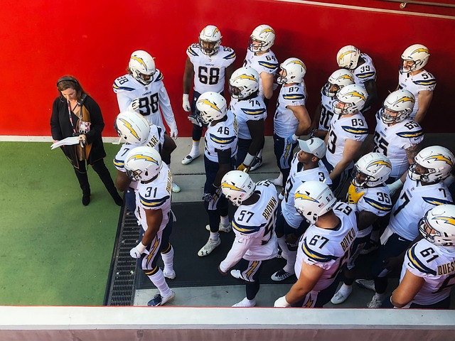 的组织能力 的组织能力